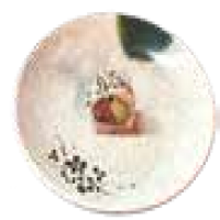 Uramaki Tonyina alvocat