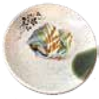 Uramaki Salmó fregit cogombre alvocat