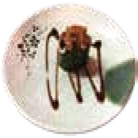 Gunkan Alvocat tonyina picant